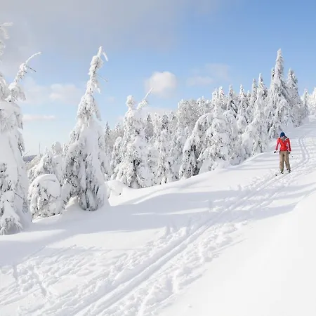 Prázdninový dům Rys - Liptov *