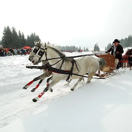 Rys - Liptov * Lipótszentmiklós